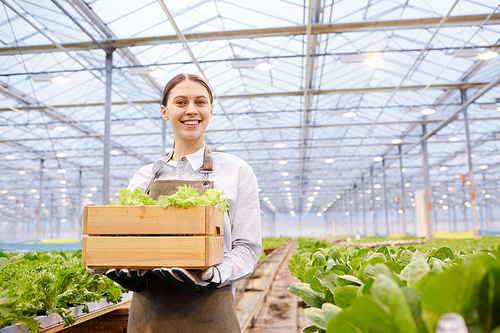 Low angle portrait of cheerful female worker carrying box of plants at industrial plantation in greenhouse, copy space