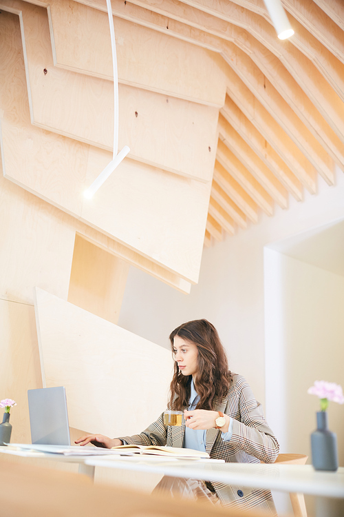 Vertical wide angle portrait of pretty young woman working with laptop while sitting at desk in design interior, copy space