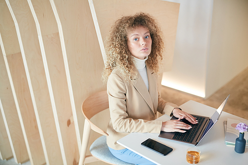 High angle portrait of modern curly haired young woman  while using laptop sitting at table in cafe, copy space