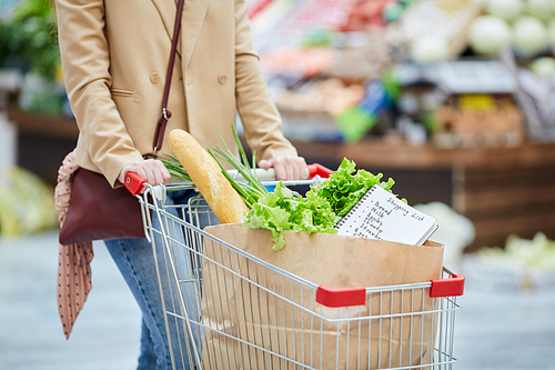 Mid section portrait of unrecognizable young woman pushing shopping cart while buying groceries at farmers market or supermarket, copy space