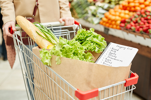 Close up of unrecognizable young woman pushing shopping cart while buying groceries at farmers market or supermarket, copy space