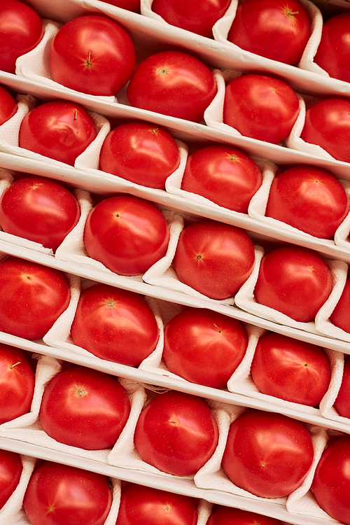 background image of fresh ripe tomatoes in row ready for  at stand in farmers market, copy space