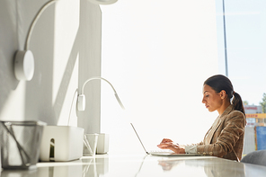 Side view portrait of beautiful mixed-race businesswoman using laptop in white office interior, copy space
