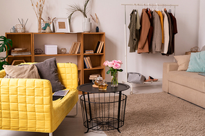 Domestic room interior with yellow sofa, small table with tea and roses, wooden bookshelves, rack with clothes and soft rug on the floor