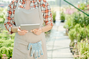 Midsection of young contemporary female worker of greenhouse in apron holding touchpad and watching online video about plant care
