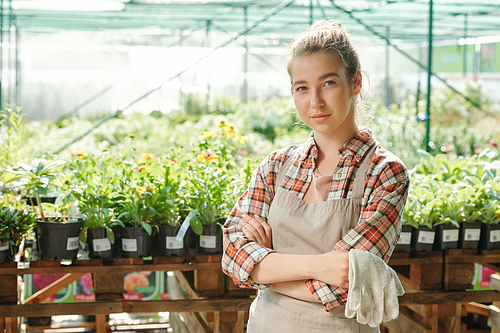 Young serious female farmer with gloves in hands standing in front of camera and looking at you against green plants in flowerpots