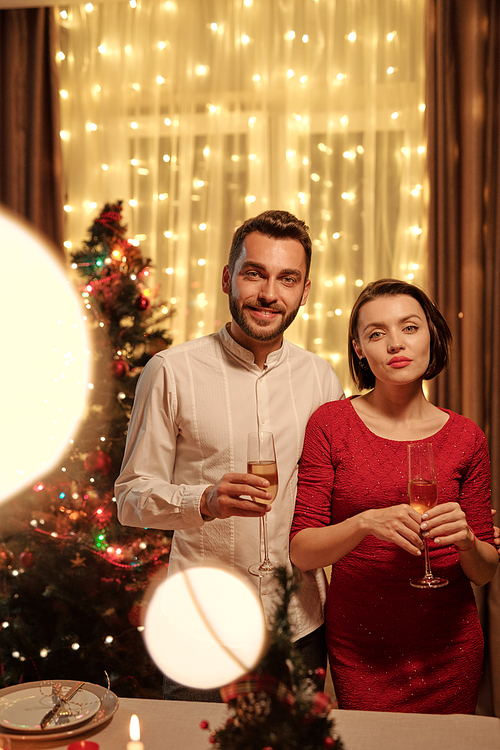 Young pretty woman in red dress and her husband toasting with with flutes of champagne while standing by fesive table against xmas tree