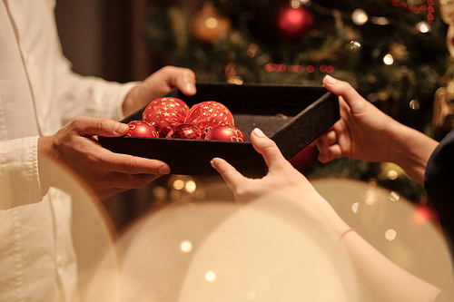 Hands of young woman giving black plastic tray with red toy balls to her husband to put them on Christmas tree before celebration