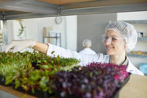 Portrait of smiling female scientist examining plant samples while working in biotechnology laboratory, copy space