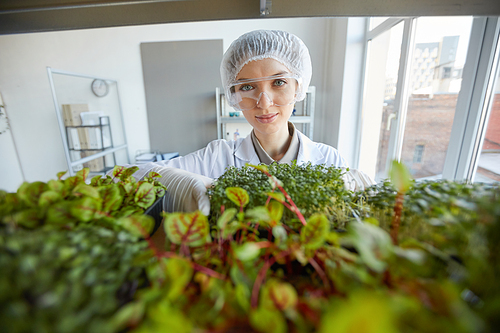 Wide angle portrait of smiling female scientist examining plant samples while working in biotechnology lab, copy space