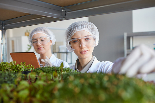 Close up portrait of two female scientists examining plant samples while working in biotechnology lab, copy space