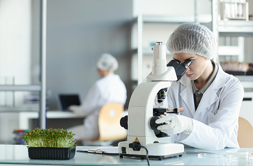 Portrait of young female scientist looking in microscope while studying plant samples in biotechnology lab, copy space