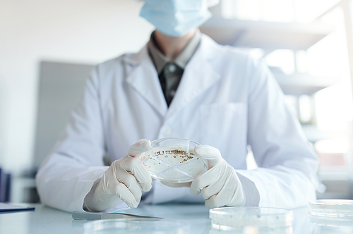 Cropped portrait of unrecognizable female scientist holding petri dish while studying plant seed samples in biotechnology lab, copy space