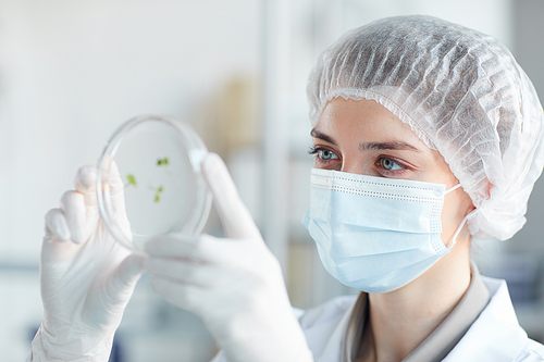 Close up portrait of young female scientist holding petri dish while studying plant samples in biotechnology lab, copy space