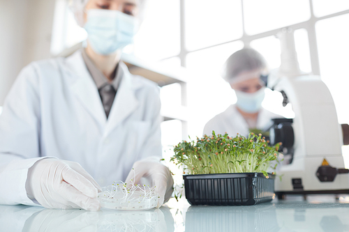 Cropped portrait of two female scientists studying plant samples in biotechnology laboratory, focus on foreground, copy space