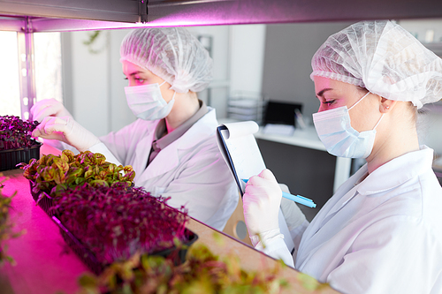 Side view portrait of two female scientists examining plant samples while working in biotechnology lab and writing on clipboard, copy space