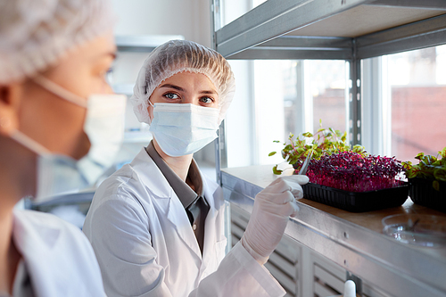 Portrait of young female scientist wearing mask and looking at colleague while studying plant saplings in biotechnology lab, copy space