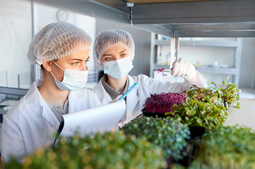 Portrait of two young female scientists wearing masks while studying plant saplings in biotechnology lab, copy space