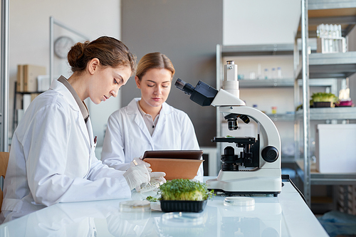 Side view portrait of two female scientists holding petri dish while examining plant samples during lab research, copy space