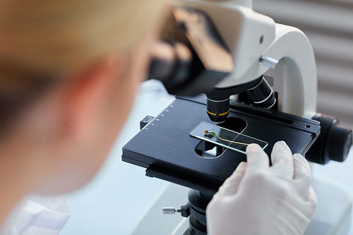 Close up of unrecognizable female scientist looking in microscope while examining plant samples in biotechnology lab, copy space