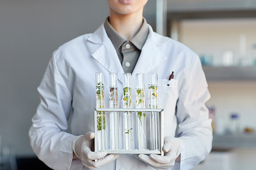 Cropped portrait of young female scientist holding test tubes with plant samples while working on research in biotechnology lab, copy space