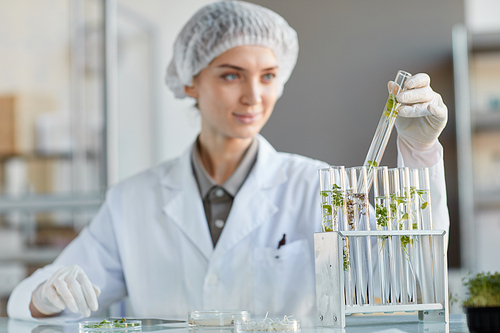 Portrait of young female scientist holding test tube with plant samples while working on research in biotechnology lab, copy space