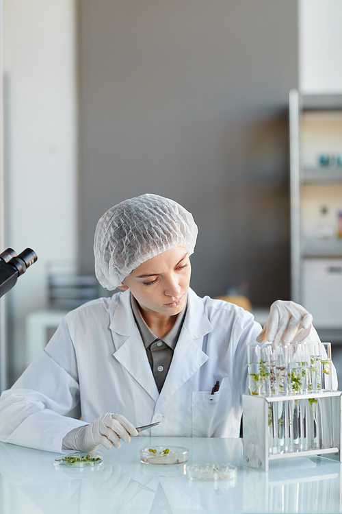 Vertical portrait of young female scientist holding test tube with plant samples while working on research in biotechnology lab, copy space