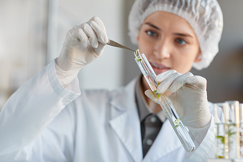 Close up portrait of young female scientist holding test tube with plant samples while working on research in biotechnology lab, copy space