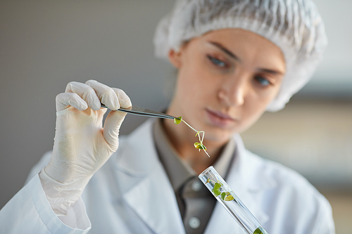 Close up portrait of young female scientist holding test tube with plant samples while doing experiments in biotechnology lab, copy space