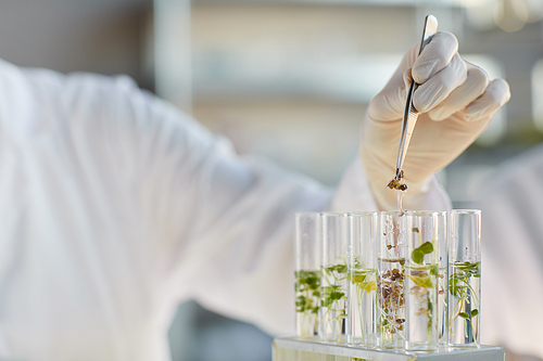 Close up of unrecognizable female scientist working with test tubes and plant samples while doing experiments in biotechnology lab, copy space