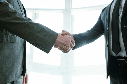 Handshake of two successful business partners in formalwear congratulating each other on new deal or contract at meeting