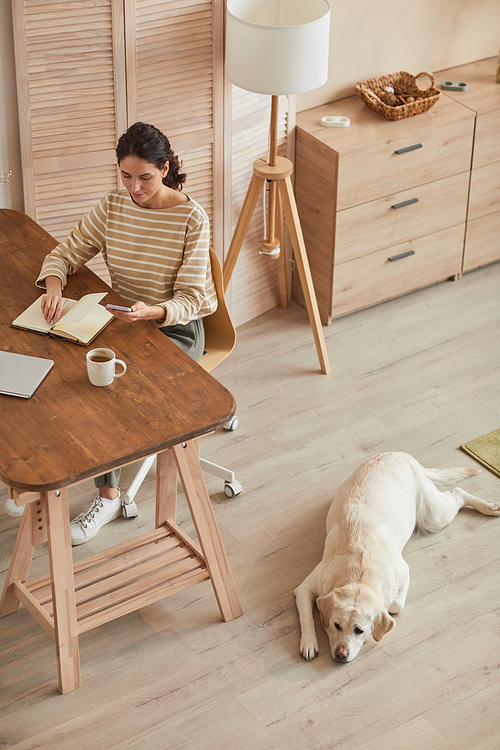 Vertical high angle portrait of modern young woman working at home office with dog waiting by desk in cozy interior, copy space