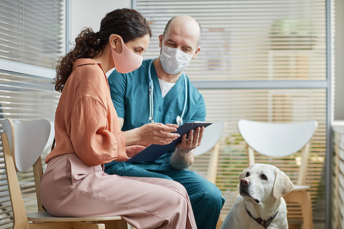 Side view portrait of young woman wearing mask while talking to veterinarian in waiting room at vet clinic with white dog, copy space