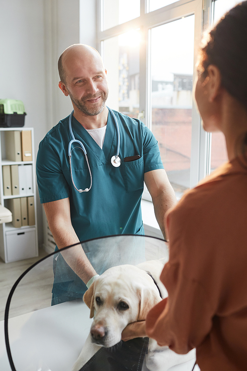 Vertical portrait of mature veterinarian examining dog at vet clinic while talking to young woman