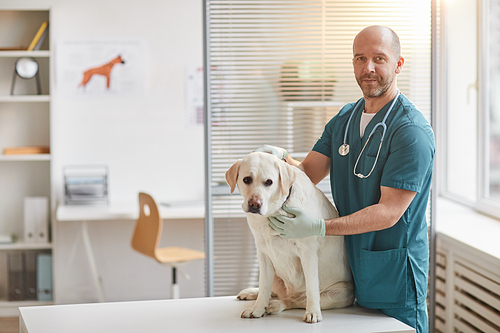 Portrait of mature male veterinarian smiling at camera while posing with white Labrador dog at vet clinic, copy space