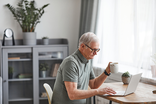 Side view portrait of modern senior man using laptop at home and enjoying coffee, copy space