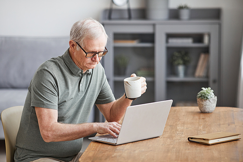 Minimal portrait of modern senior man using laptop at home and enjoying coffee, copy space