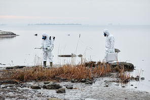 Wide angle view at scientists wearing protective gear inspecting ecological disaster site, copy space