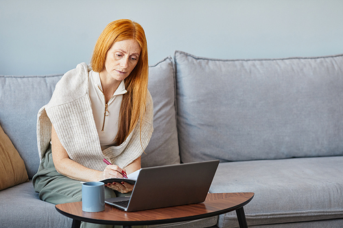 Portrait of adult red haired woman using laptop on sofa while studying online from home, copy space