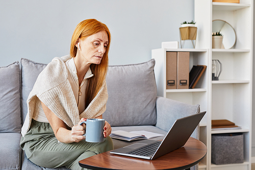 Portrait of adult red haired woman using laptop at home sitting on sofa while studying online, copy space