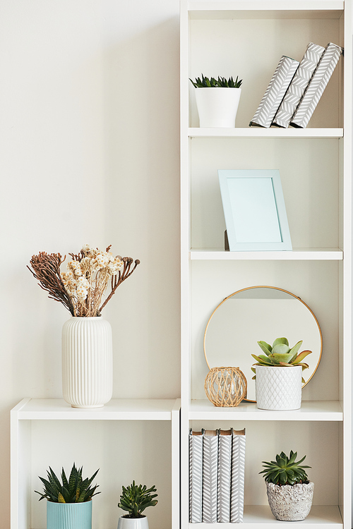 Minimal background image of home decor accessories on white shelf with plants, copy space