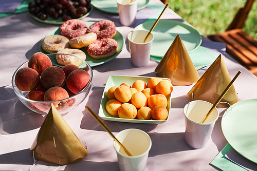 Close up of fruits and sweets on picnic table outdoors decorated for Birthday party in Summer, copy space