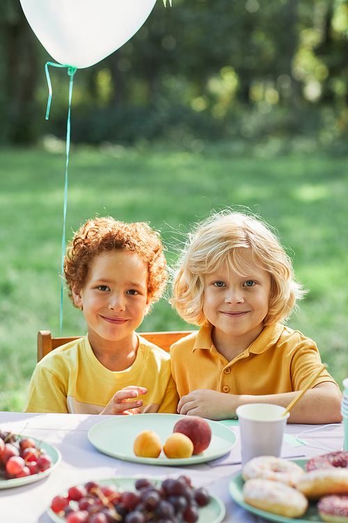 Vertical portrait of two smiling boys at picnic table outdoors enjoying Birthday party in Summer