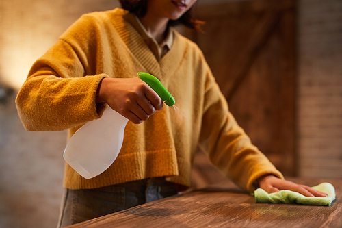 Close up of young Asian woman cleaning countertops in wooden home interior, copy space