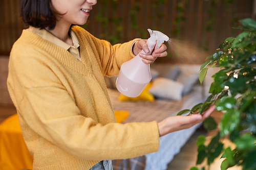 Cropped side view shot of young Asian woman watering plants in cozy home interior, copy space