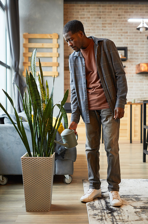 Vertical full length portrait of young African-American man watering plants in modern home apartment