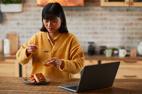Portrait of young Asian woman putting honey on waffles while enjoying breakfast in cozy home, copy space