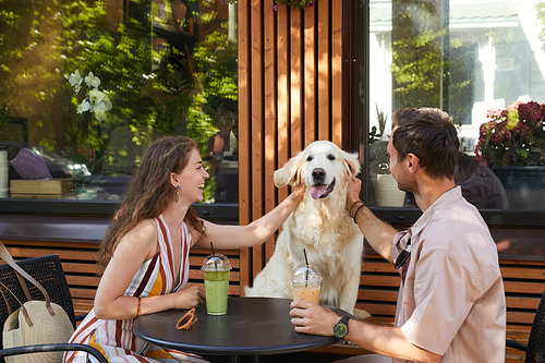 Portrait of happy couple with dog sitting at table together in outdoor cafe and laughing, copy space
