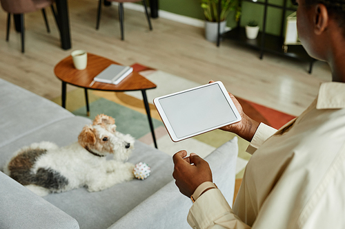 Close up of African American woman holding tablet with blank screen at home, pet dog in background, copy space