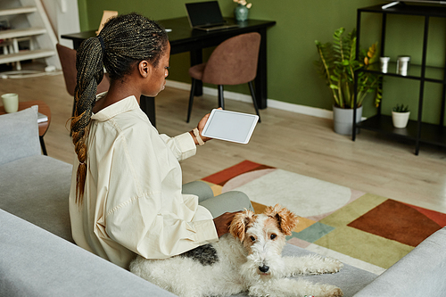 Back view of young black woman using tablet and petting dog while relaxing on couch in modern home interior